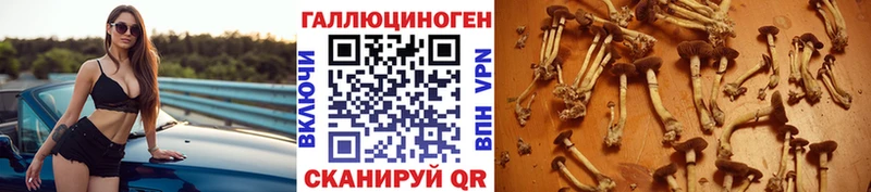даркнет сайт Ростов Галлюциногенные грибы GOLDEN TEACHER